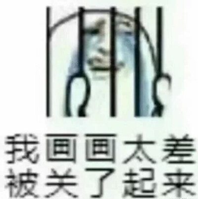 美术生表情包