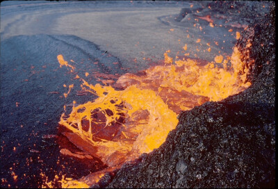 火山挚恋