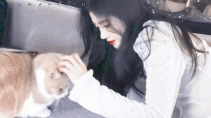 鞠婧祎橙光素材，注明妘知酒