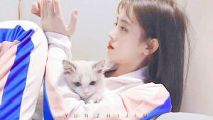 鞠婧祎橙光素材，注明妘知酒