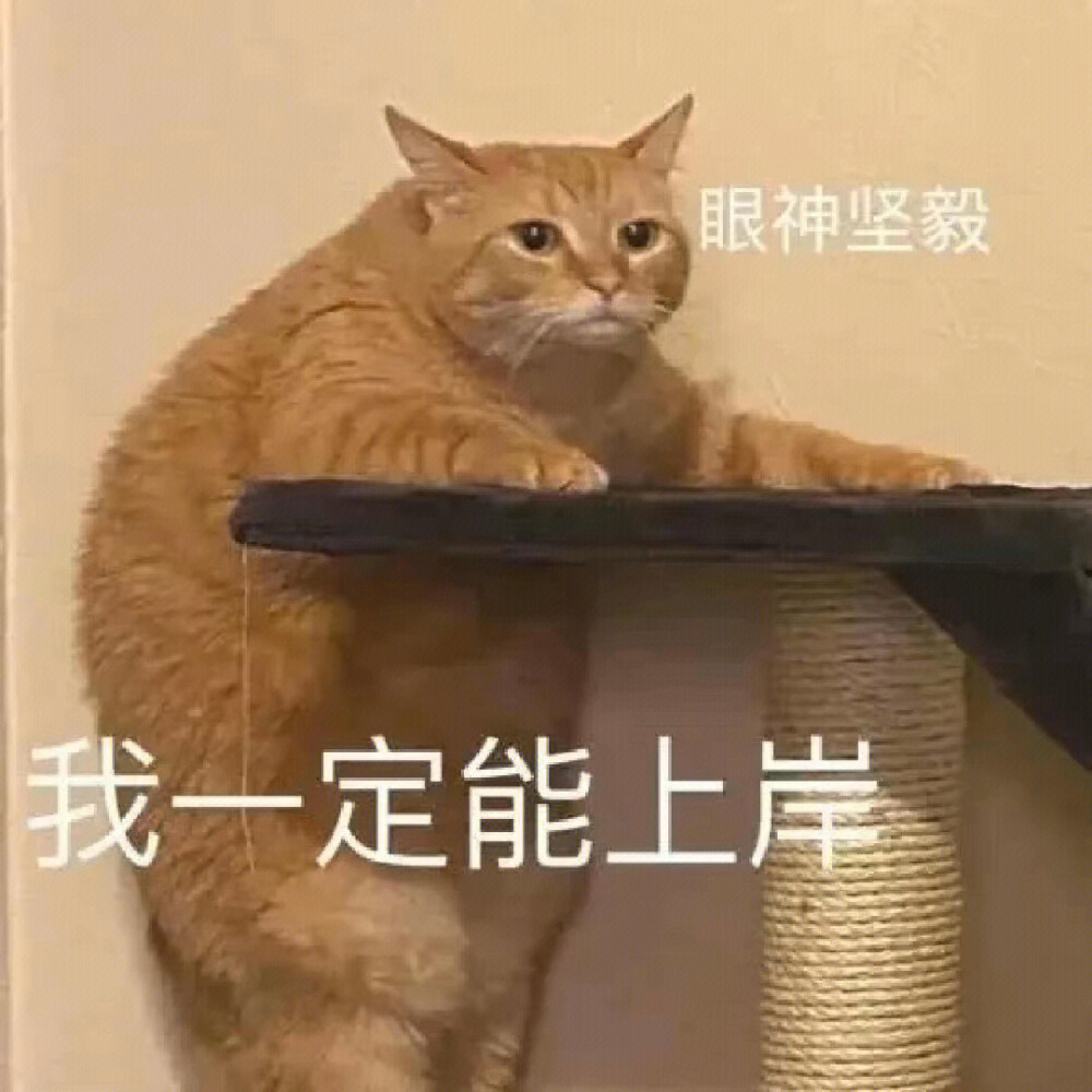 表情包