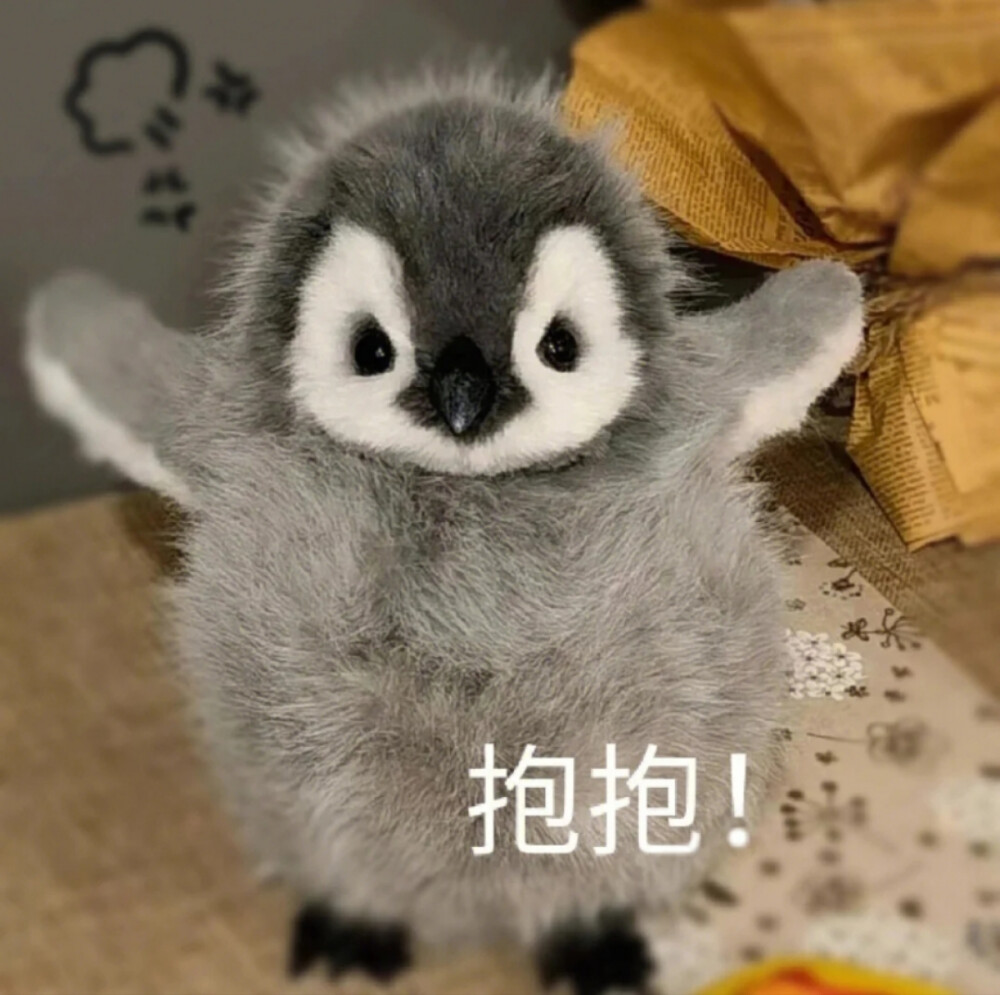 【自截】禁搬禁二传