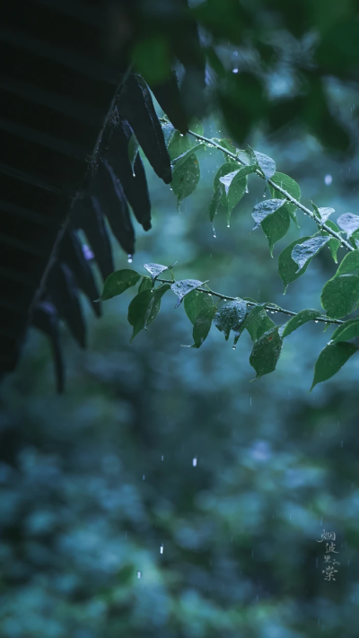 枕上诗书闲处好.门前风景雨来佳。