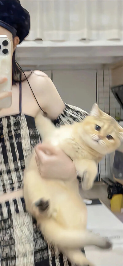 今日壁纸