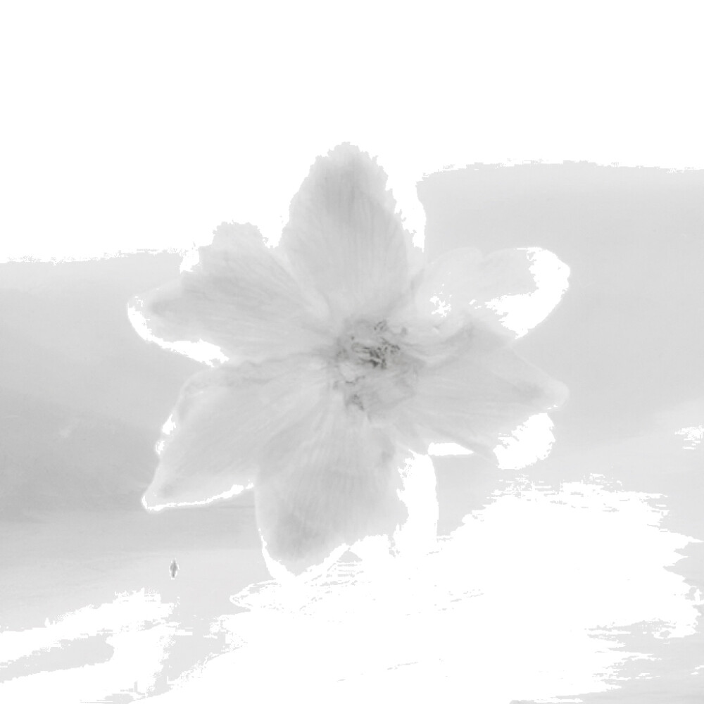 你许的永远太多我不记得