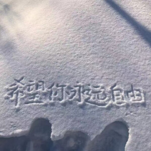 冬天的雪