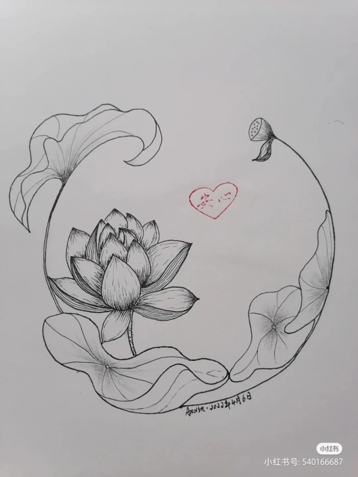 花卉线描画