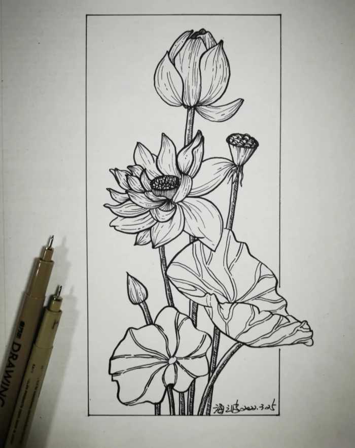 花卉线描画