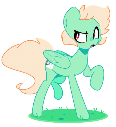 pony