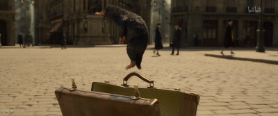 神奇动物：格林德沃之罪
Fantastic Beasts：The Crimes of Grindelwald