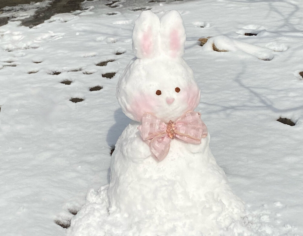 可爱雪人