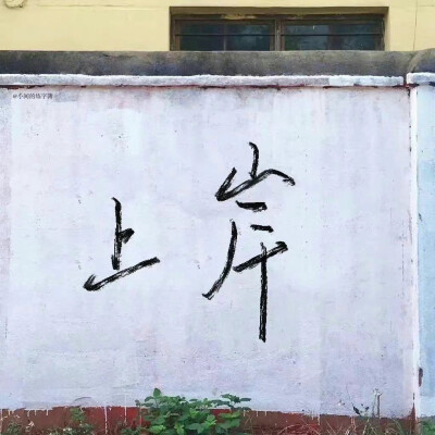 考研人 上岸 你终硕