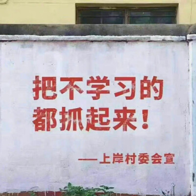 考研人 上岸 你终硕