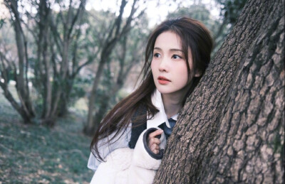 白鹿可二改，专辑还有