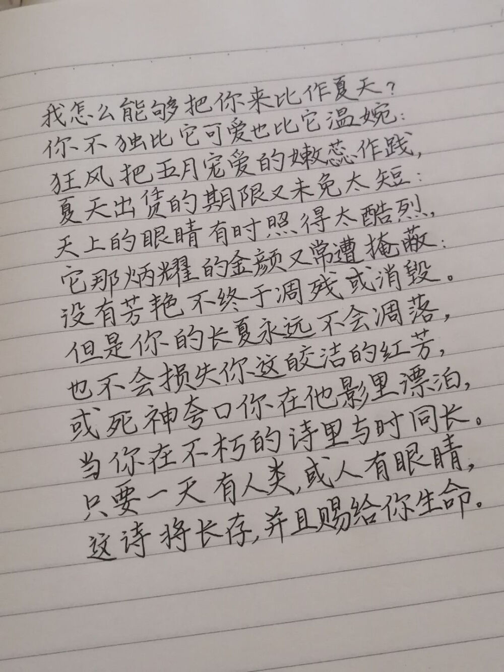 关于你的一切都是不会凋落的长夏