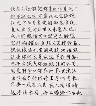 关于你的一切都是不会凋落的长夏