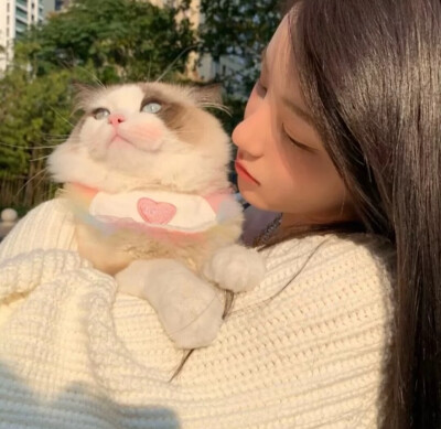 女生猫咪头像