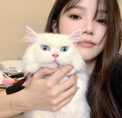 女生猫咪头像