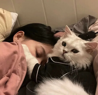 女生猫咪头像