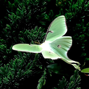 Rain Day*小雨天气