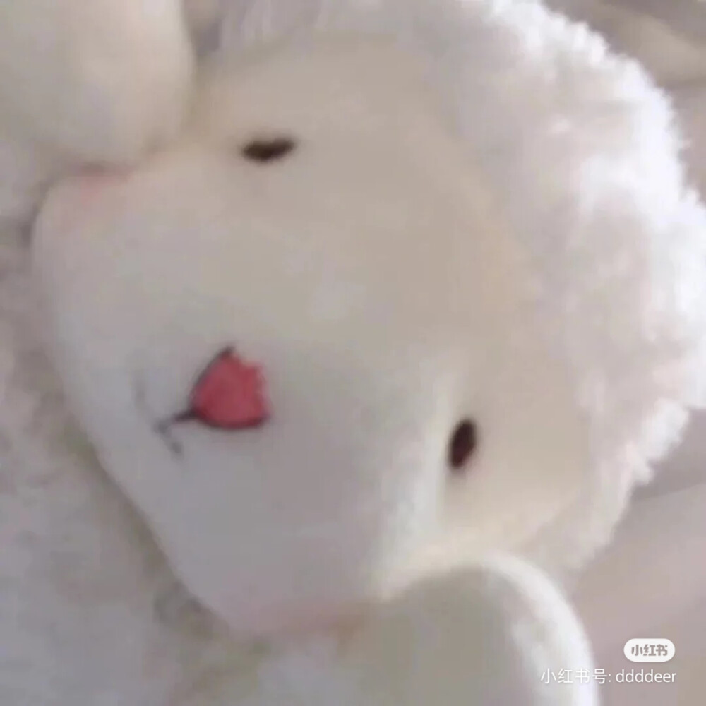 可爱的小羊咩咩