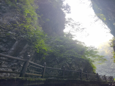 林中雾云绕，山间细雨来。