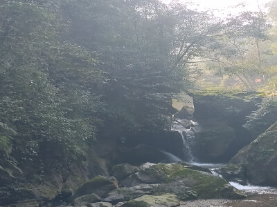 林中雾云绕，山间细雨来。