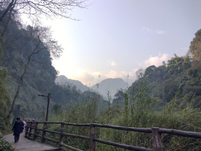 林中雾云绕，山间细雨来。