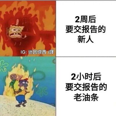 梗图 - 高清图片,堆糖,美图壁纸兴趣社区