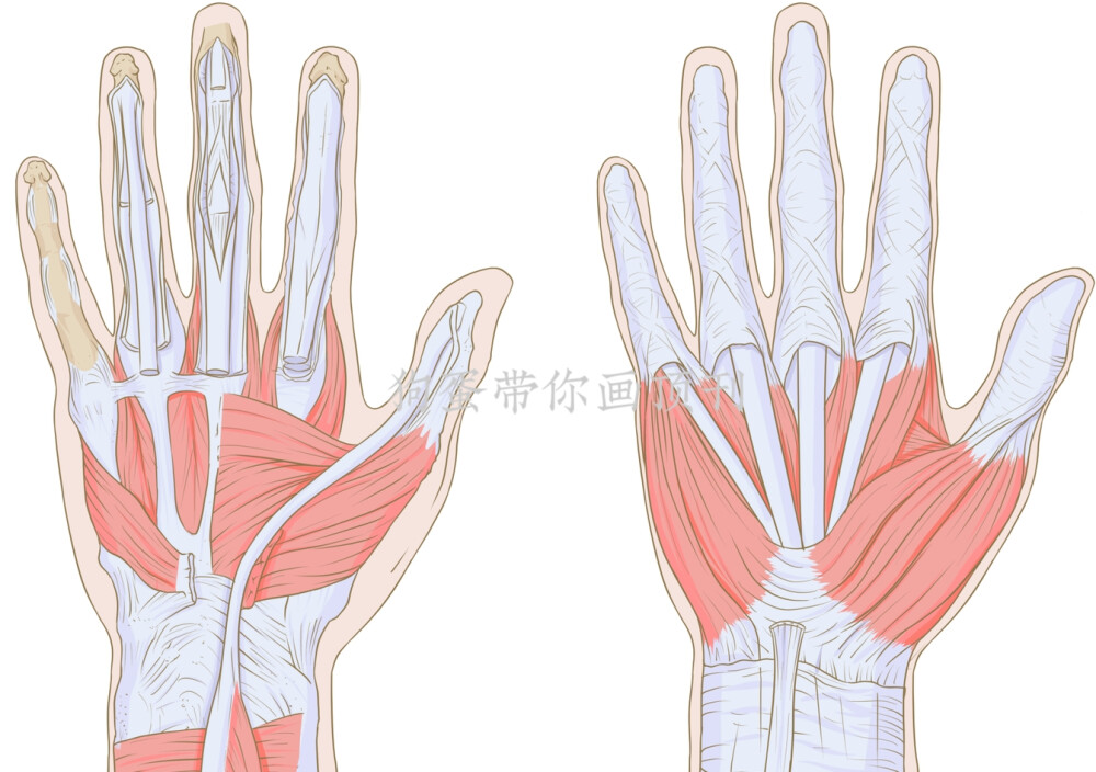 上半天就这些，喝口水下午再来8张！
因为画医学插图多了，感觉很顺手，出图效率一下来跟着技能开挂了！下午继续肝起！[吃瓜R]#医学可视化 #生化环材图 #机制图 #期刊封面 #医学插图#论文插图 