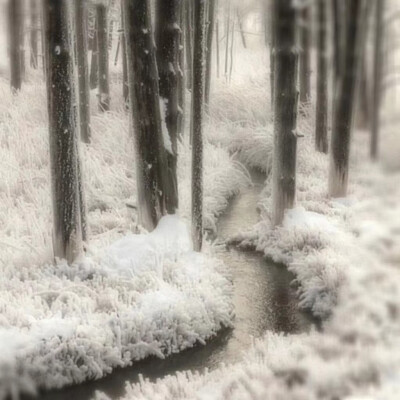 Das ist meine Liebe.（皮肤之下 根根肋骨）:My god