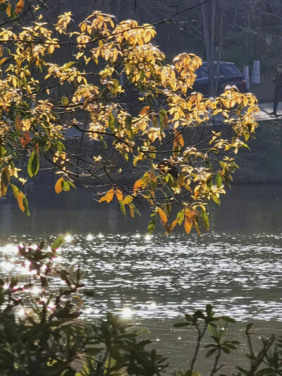 谷底照进去的那束光称为救赎 ​​​