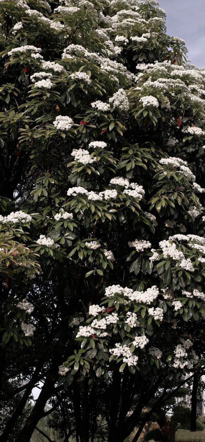 风景壁纸