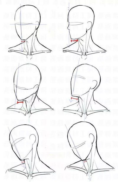 头 素描 绘画 人体结构