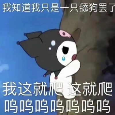 我这一次 终究还是来的太迟