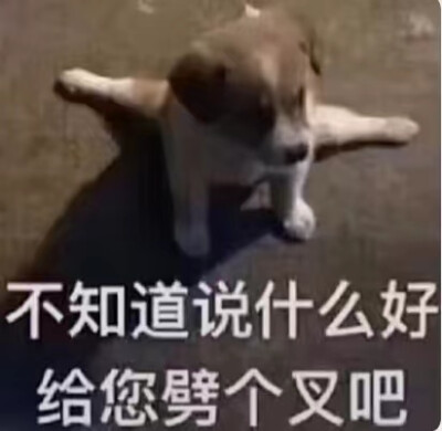 我这一次 终究还是来的太迟