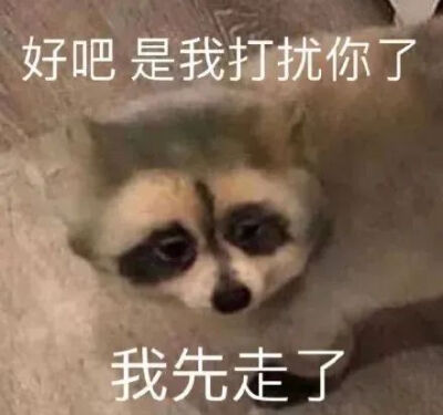 我这一次 终究还是来的太迟