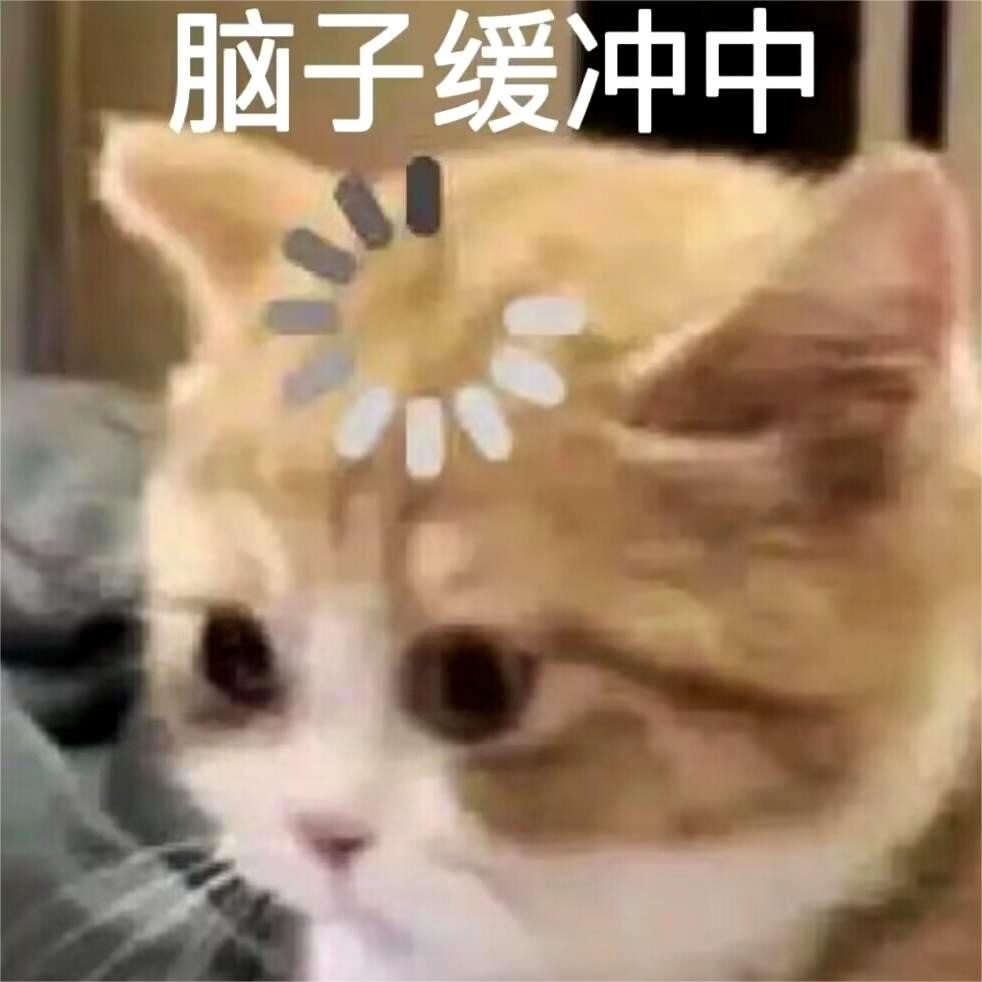 沙雕 猫咪 表情包