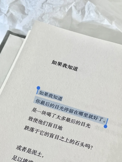 二月的诗