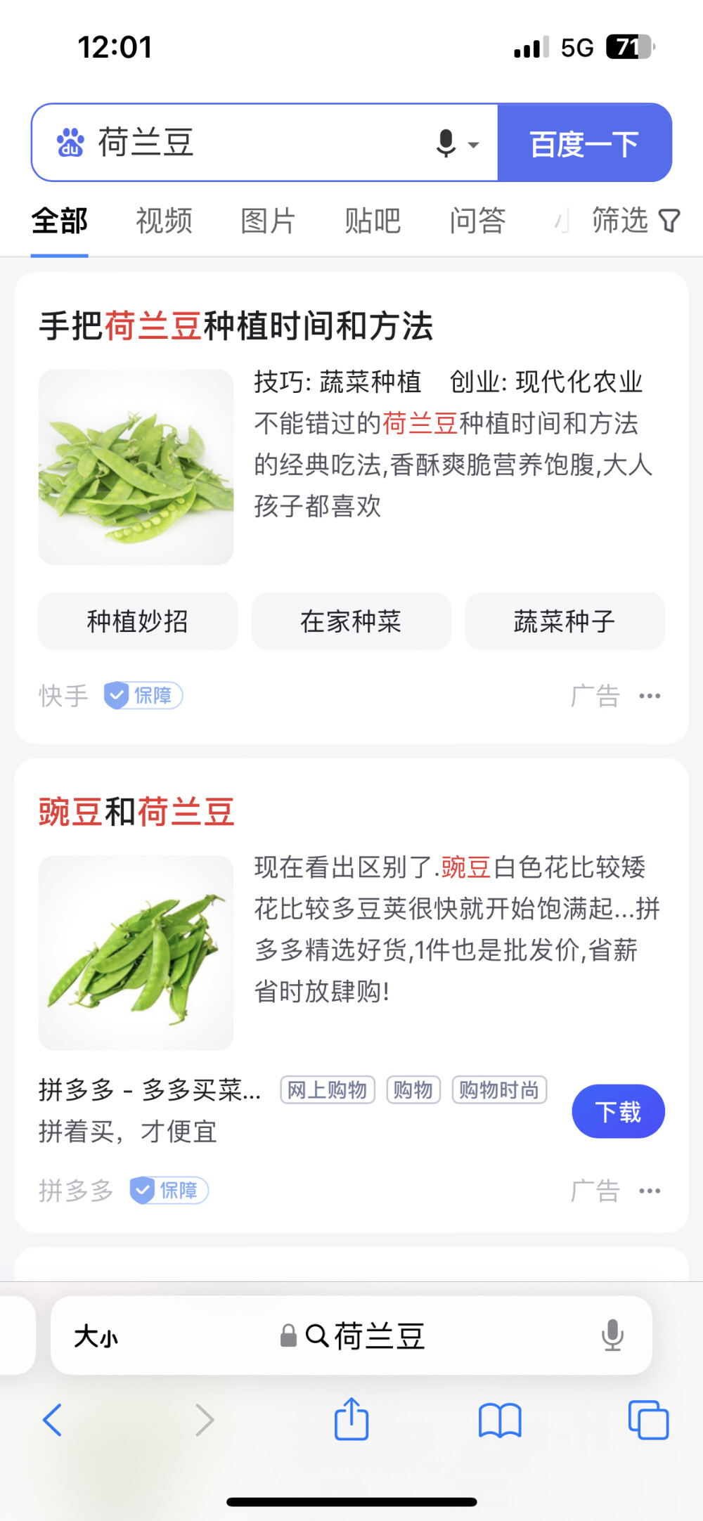 分不清荷兰豆和豌豆