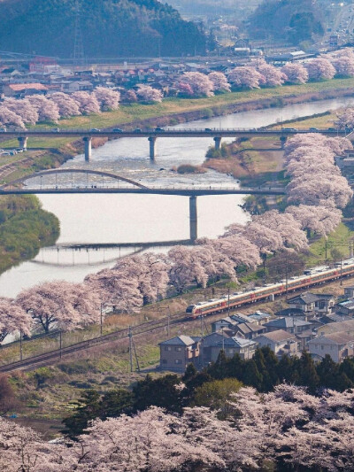 只有日本