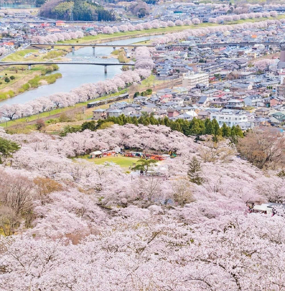 只有日本