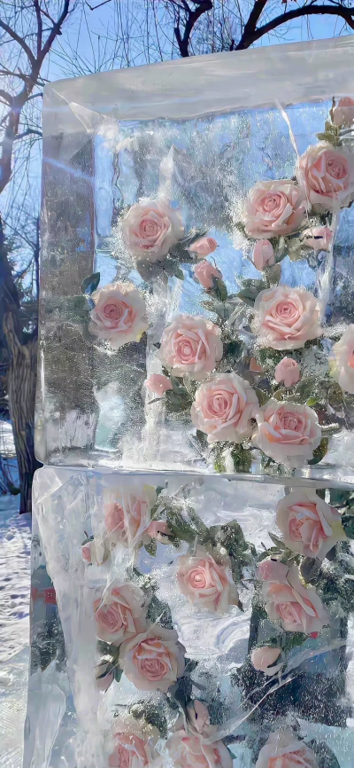 包你满意的壁纸么么