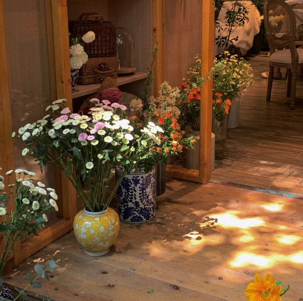 朋友圈背景图
图源网络侵删