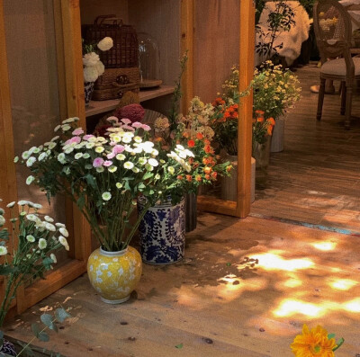 朋友圈背景图
图源网络侵删