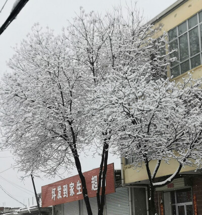 你们这里下雪了吗？