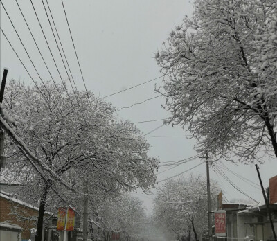 你们这里下雪了吗？