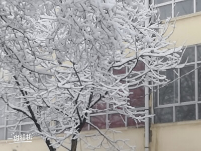 你们这里下雪了吗？