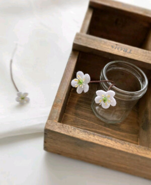 不织布和刺绣，来自＠sekine_akemi