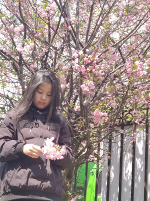 普普通通我的图